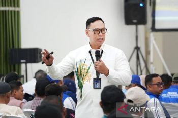Dirut Bulog tegaskan komitmen kawal swasembada pangan berkelanjutan