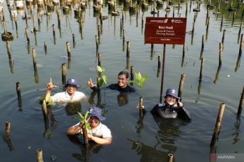 DSLNG selamatkan ekosistem pesisir lewat aksi tanam mangrove
