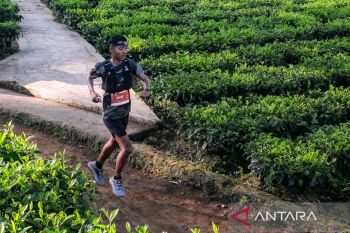 Dieng Caldera Race dorong Wonosobo jadi destinasi sport tourism unggulan