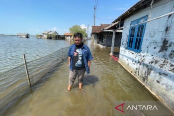 Pemkab Pati-Pemprov Jateng percepat penanganan rob melanda Desa Tunggulsari