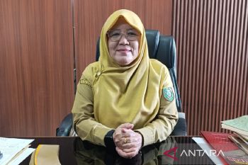 Dinas SDABMBKPRKP Kotim turunkan tim tinjau kondisi jalan Camba-Soren