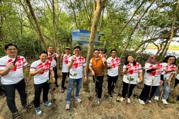 BPJS Ketenagakerjaan Jatim tanam 1.437 bibit mangrove
