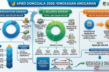 Donggala anggarkan Rp662 miliar untuk belanja pegawai
