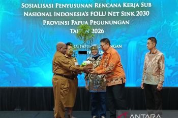 Kemenhut dorong Pemprov Papua Pegunungan tanam pohon jaga kelestarian hutan