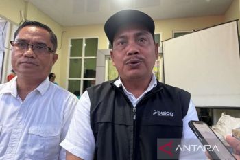 Bulog optimistis target serapan gabah petani di Sulawesi Tengah lebihi target
