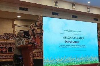 BRIN promotes Bali's subak as example of sustainable agriculture