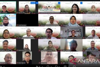 CSL dan SCOPI dorong agroforestri untuk perkuat ketahanan sektor kopi