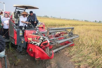 Pemprov Jateng sebut produktivitas padi diproyeksikan 6,69 juta ton gabah kering