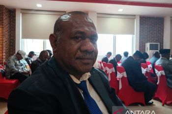 Pemprov perkuat transportasi udara wilayah pedalaman Papua Pegunungan