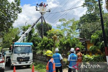PLN Situbondo antisipasi gangguan jaringan listrik