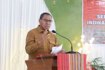 Wagub NTT sebut kenari Alor mampu meningkatkan ekonomi masyarakat