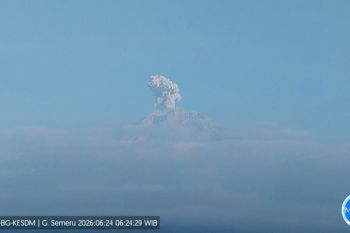 Mount Semeru erupts, ash column reaches 600 meters