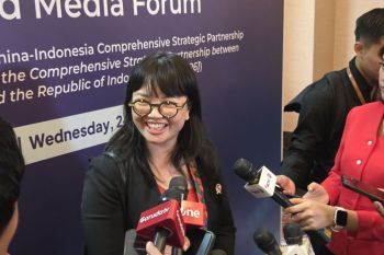 Wamen Stella targetkan portal beasiswa satu pintu diluncurkan terbatas