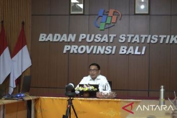 BPS: Karakteristik usaha beragam di Bali masih jadi tantangan sensus ekonomi