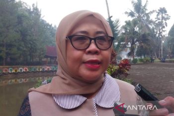 Siti Mukaromah: Penderes nira kelapa Banyumas perkuat ketahanan pangan