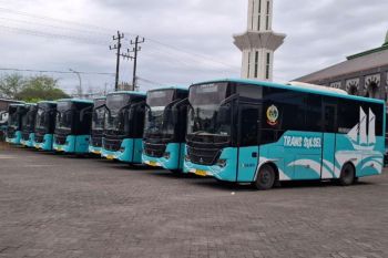 Trans Sulsel layani 1,15 juta penumpang dalam setahun