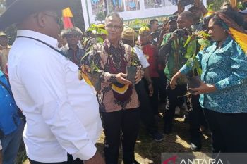 Sektor UMKM dinilai jadi solusi bagi pemda di Papua buka lapangan kerja