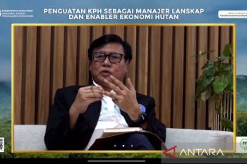 Pakar IPB tawarkan tiga solusi penguatan KPH guna atasi deforestasi