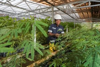 MIND ID mereklamasi 8.000 ha lahan bekas tambang dan 37.700 ha DAS