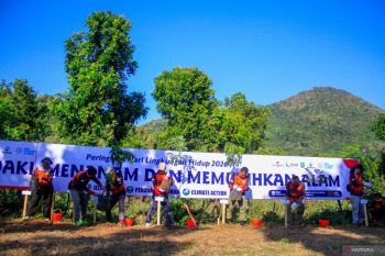 PT POMI gelar aksi penghijauan di Gunung Loros Situbondo