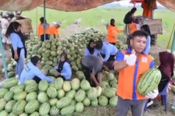 MBG beri dampak positif ke petani buah