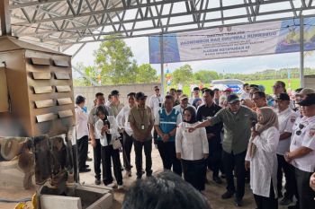 PLN UID Lampung hadirkan layanan listrik sesuai kebutuhan petani