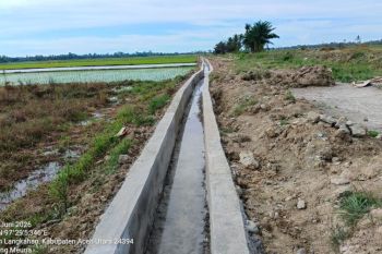 Distan Aceh Utara pastikan rehabilitasi 1.093 Ha sawah terdampak bencana tuntas 2026
