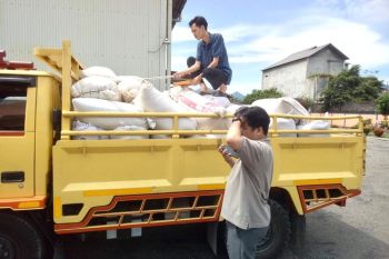 Penyaluran Jagung Bengkayang ke Bulog tembus 618,8 ton