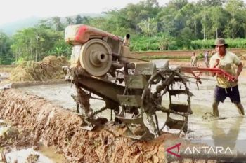 Pemkab Sumenep alokasikan Rp1,9 miliar untuk modernisasi pertanian