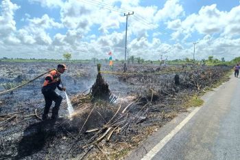 BPBD Kotim curigai lahan sengaja dibakar untuk pembangunan perumahan