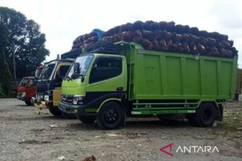 Pemkab  Aceh Barat ingatkan PKS beli TBS petani sesuai harga pemerintah