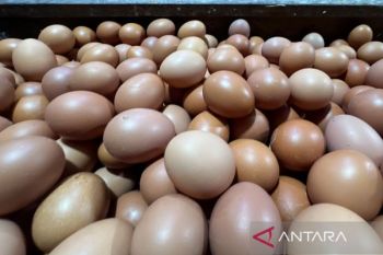 Harga telur ayam Rp29.750/kg, bawang merah Rp50.950/kg di Sabtu pagi