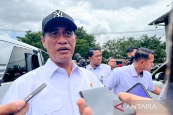 Menten: Sistem PM-AAS tingkatkan produktivitas padi hingga 12,4 ton/ha