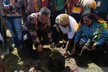 Kementerian UMKM dorong perkebunan kopi di Jayawijaya Papua Pegunungan