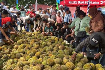 Dispar Maluku dorong Festival Durian Hutumuri Ambon masuk kalender event nasional