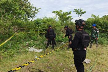 Tim penjinak bom musnahkan dua granat di Kabupaten Jayapura