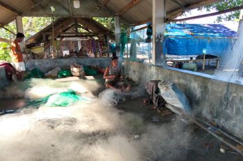 BIO-DATA MANUEL PELLGRINI 