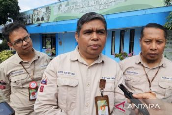 BBIB Singosari Malang sebut MBG serap 300 liter susu segar per hari
