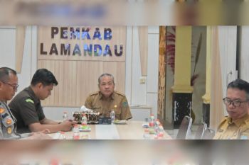 Pemkab Lamandau sinergikan gerakan pengendalian inflasi bersama Pusat
