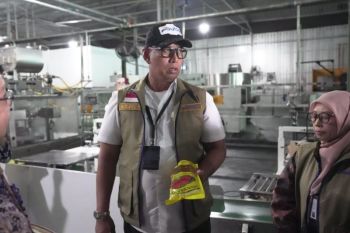 Bulog perintahkan tarik semua produk Minyakita diduga berbau solar