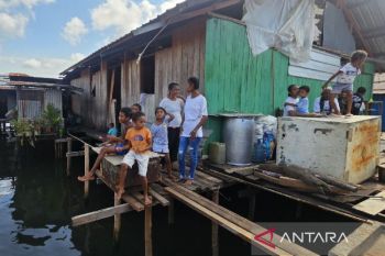 DJP sebut penerimaan pajak Papua naik 22,33 persen hingga akhir Mei 2026