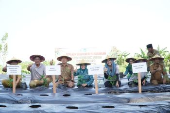 Pemkab Lamongan optimalkan pekarangan perkuat ketahanan pangan