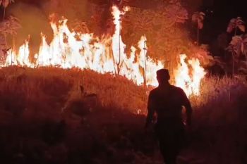 BPBD Sumedang catat empat kejadian kebakaran hutan dan lahan selama Juni 2026