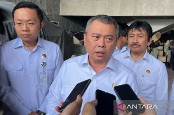"Fuel surcharge" dihapus saat TBA tiket pesawat baru berlaku