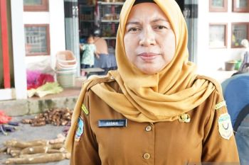 DKP Mimika: Tiga SPPG gunakan bahan pangan lokal untuk MBG