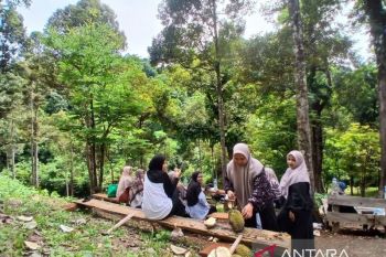 Warga Aceh Besar jadikan kebun durian sebagai agrowisata musiman