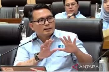 HKI mengusulkan bentuk badan kawasan industri untuk permudah koordinasi