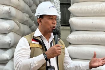 Bulog declares 200,000 tons of rice ready for export