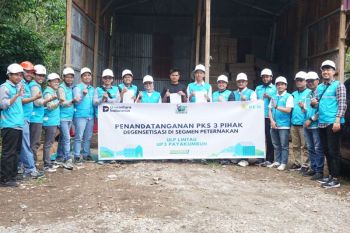 PKS 3 Pihak Segmen Peternakan dan Pakan Ternak Resmi Ditandatangani, PLN Perluas Pemanfaatan Listrik untuk Usaha Produktif