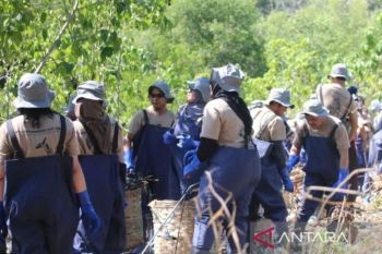 PTFI perkuat pengelolaan sampah pesisir berbasis ekonomi sirkular